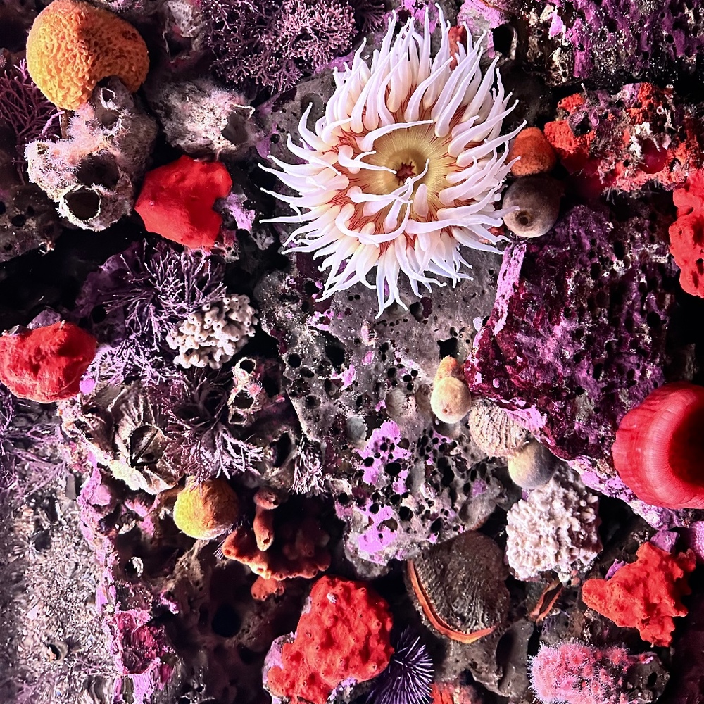 Meet your Posher, Valerie